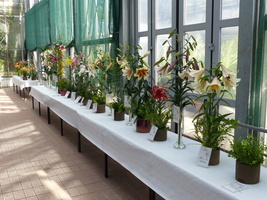 Foto: Dr. Peter Müller